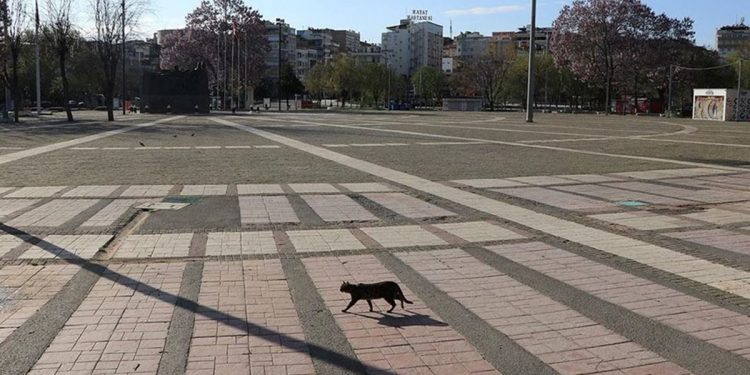 Tam Kapanma Genelgesi