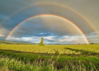 TARIM İŞLETMELERİ GENEL MÜDÜRLÜĞÜ ALIM-SATIM VE İHALE YÖNETMELİĞİNDE DEĞİŞİKLİK