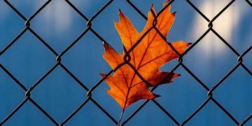 2024 YILI TANIKLIK ÜCRET TARİFESİ