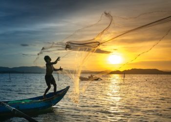 SU ÜRÜNLERİ YETİŞTİRİCİLİĞİ DESTEKLEMESİNE DAİR TEBLİĞ