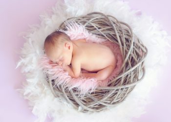 2024 YILINDA EMZİRME ÖDENEĞİ TUTARI 857,00 TL