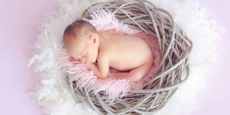 2024 YILINDA EMZİRME ÖDENEĞİ TUTARI 857,00 TL